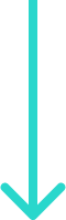 Scroll Down
